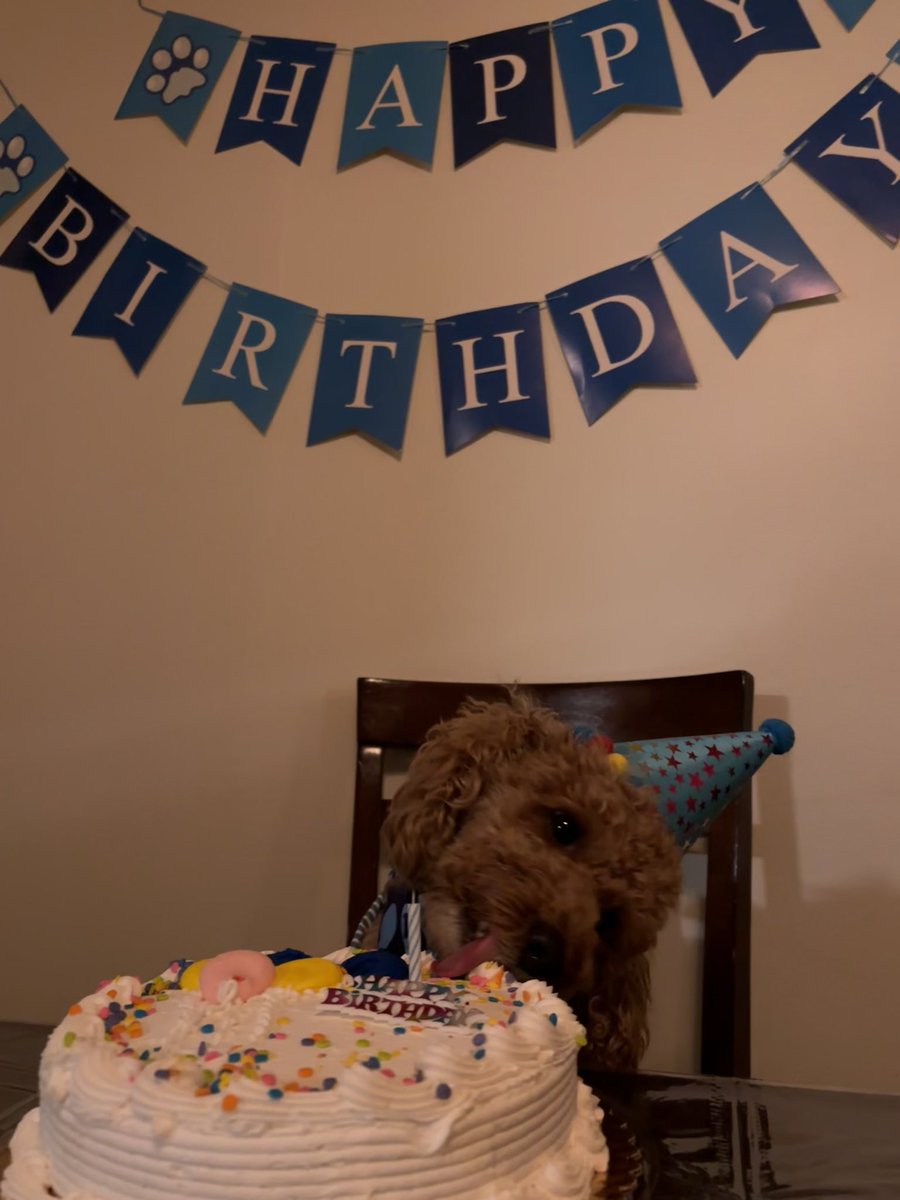 oliviasdocs's tweet image. everyone say “happy birthday charlie”