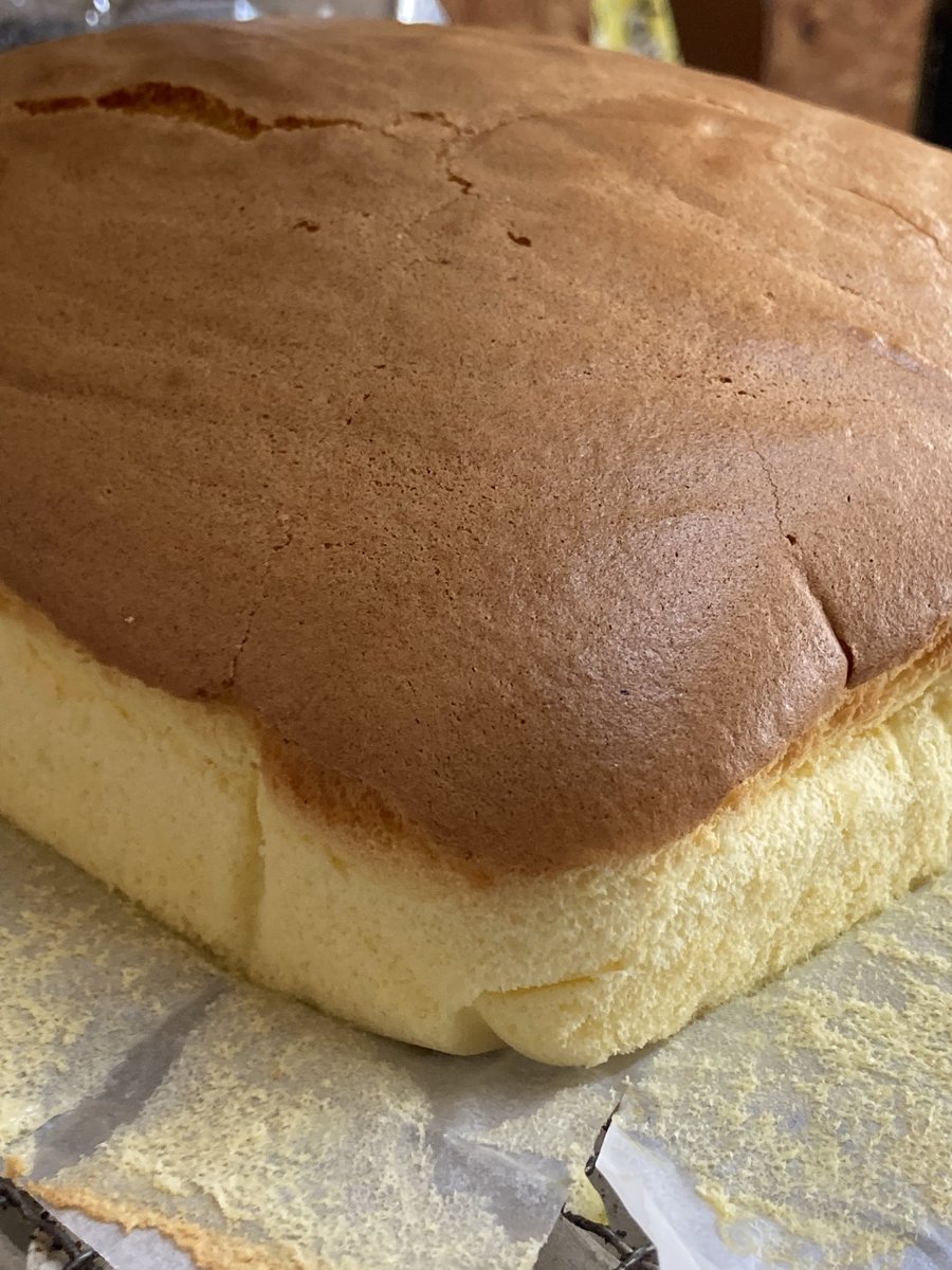 台湾カステラ見本 台湾カステラ見本