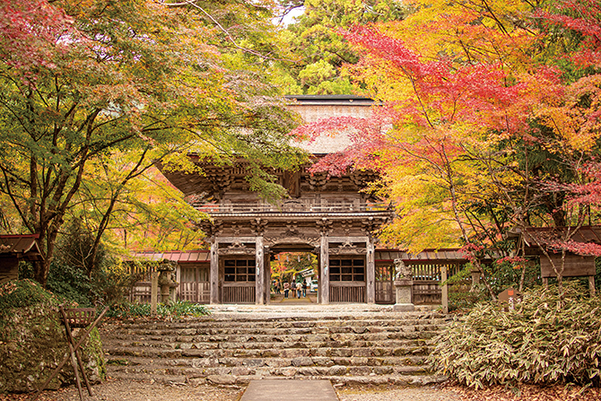 jalannet's tweet photo. #東海 #紅葉
滝やもみじ谷、紅葉と桜が共演する景色など、見応えある秋の名所をご紹介します🥰🍂

📍白糸ノ滝【静岡県・富士宮市】
［見頃］11月中旬〜下旬

📍小原四季桜【愛知県・豊田市】
［見頃］11月中旬〜12月上旬
［紅葉イベント］11月15日（土）〜11月30日（日）「小原四季桜まつり」

📍大矢田神社もみじ谷【岐阜県・美濃市】
［見頃］11月中旬～12月上旬
［紅葉イベント］11月23日（日）「ひんここの舞」

📍赤目四十八滝【三重県・名張市】
［見頃］11月上旬〜下旬
［ライトアップ］【〜11月30日（日）】17時〜20時【12月6日（土）〜2026年1月25日（日）】17時〜19時30分※12月以降は土日祝のみ開催。クリスマス期間2025年12月22日（月）〜25日（木）特別開催