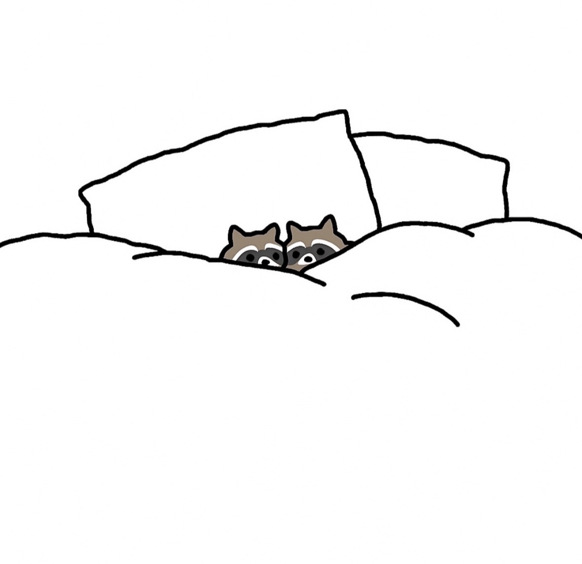 raccoonesthetic's tweet image. 