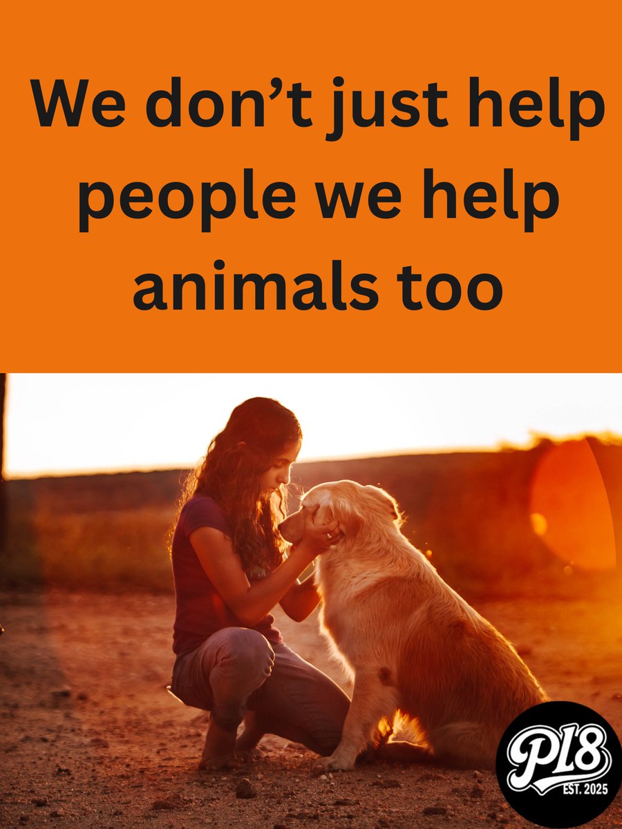 PL8Project's tweet image. Animals need us too #PL8project
@pumpdotfun