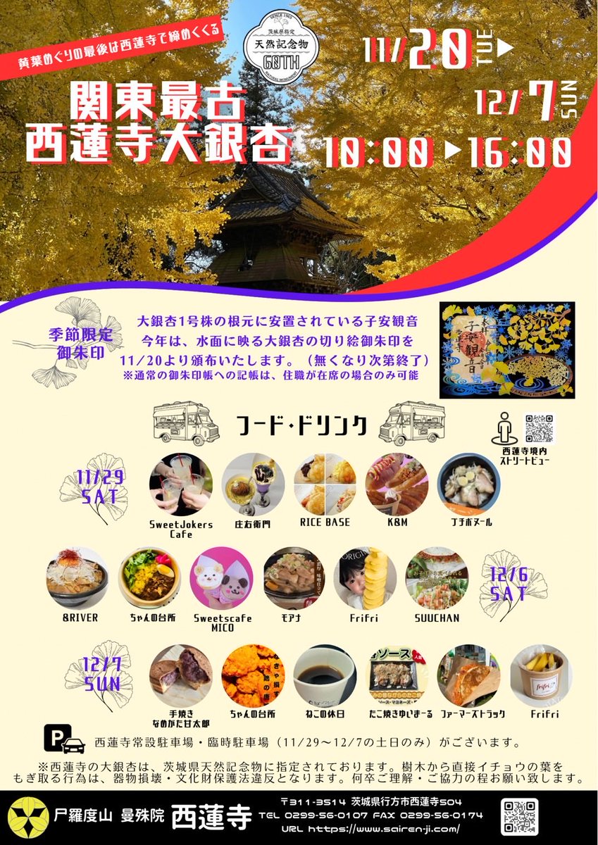 sairenji782's tweet image. いよいよイチョウの季節がやってきます
黄葉期間は11月20日〜12月7日までです

その内
11月29日(キッチンカー)、30日(マルシェ)
12月6日(キッチンカー)、7日(キッチンカー)
の出店予定です♪
お時間ありましたら気軽にお立ち寄りください👌🏻

#西蓮寺　#イチョウ　#銀杏　#茨城県