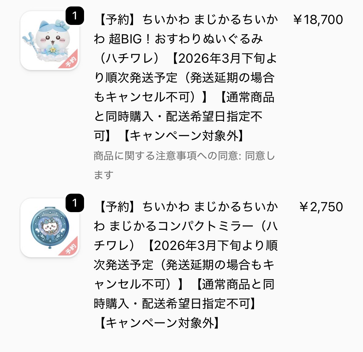 まじかるちいかわの思い切って注文してしまった🙃入るかな笑