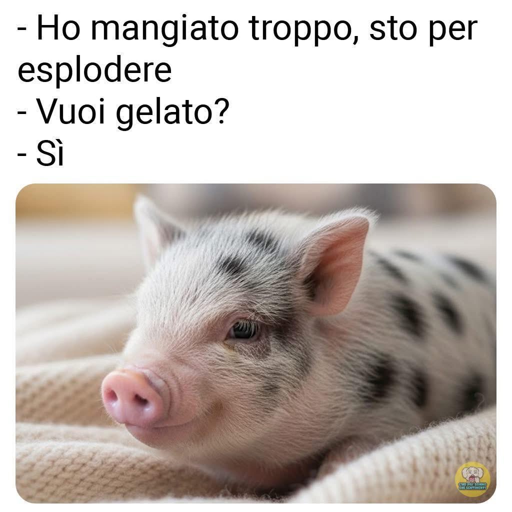 senzafermare's tweet photo. https://t.co/gAxKK8tCw5