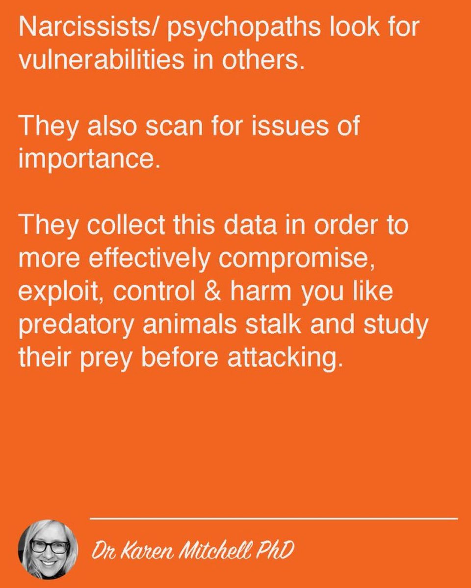 Dr Karen Mitchell PhD (@karenmitchell__) on Twitter photo 