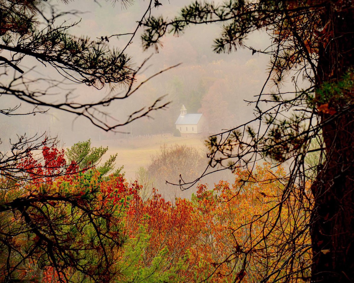 SevierFun's tweet image. Putting the ‘Smoky’ in Smoky Mountains 🧡

📸: adamgravett