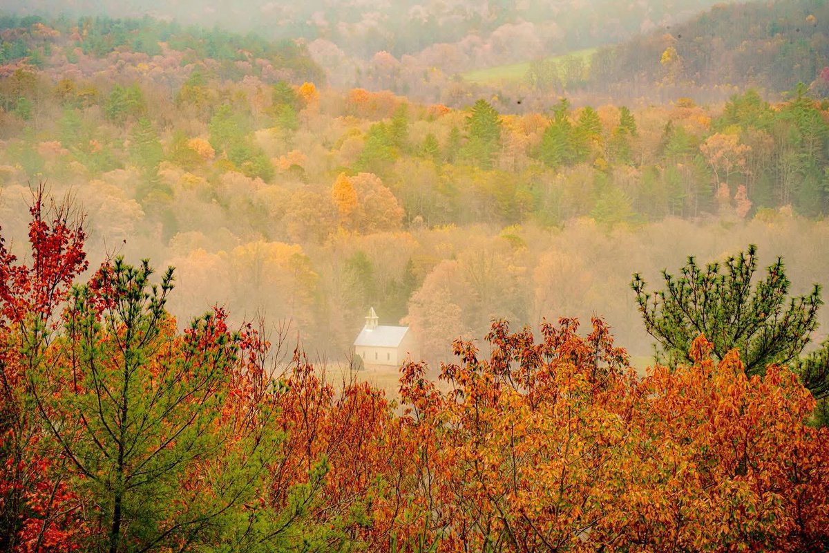 SevierFun's tweet image. Putting the ‘Smoky’ in Smoky Mountains 🧡

📸: adamgravett