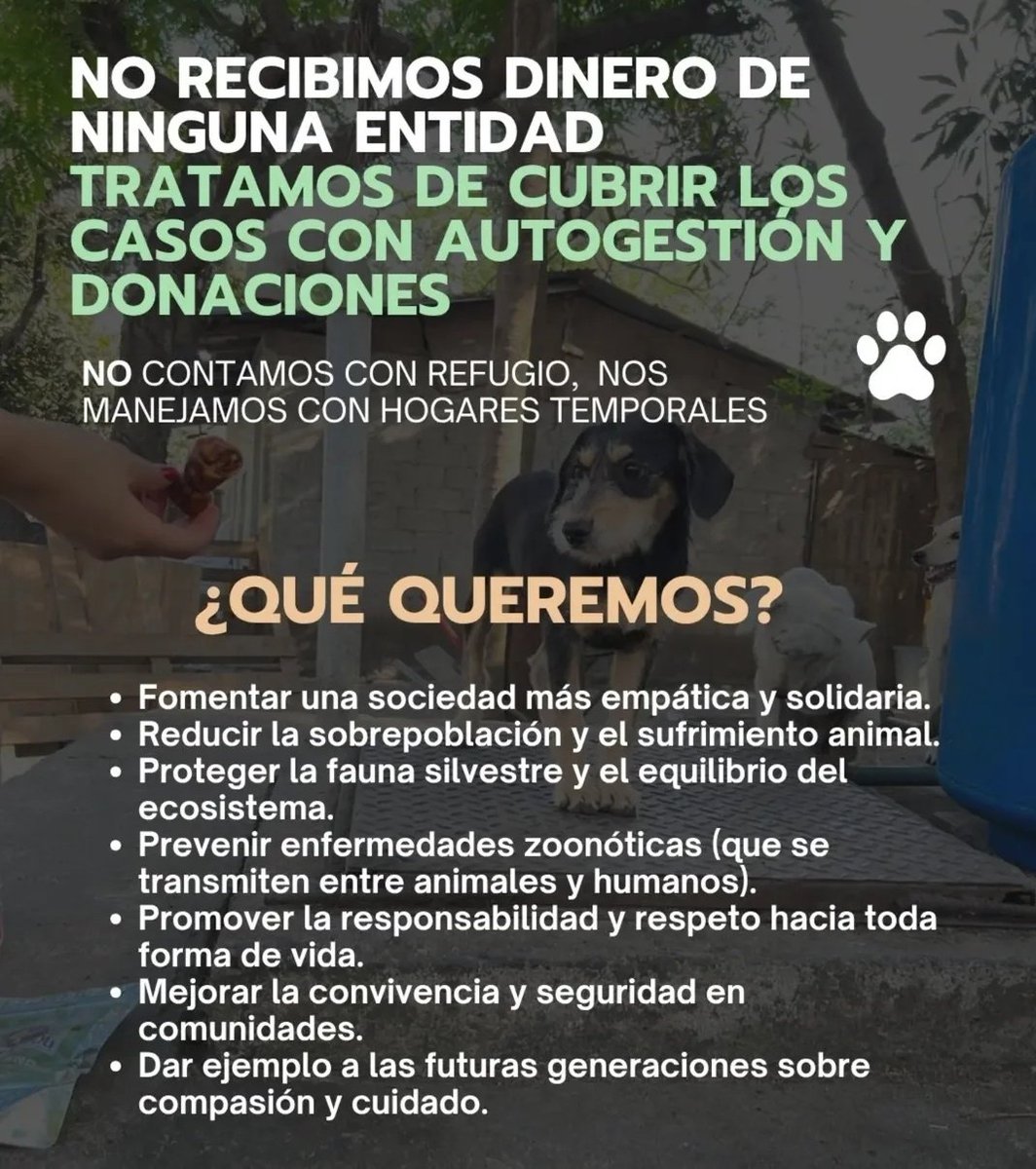 Salvando Patitas 🐾🐾🐾 tweet media