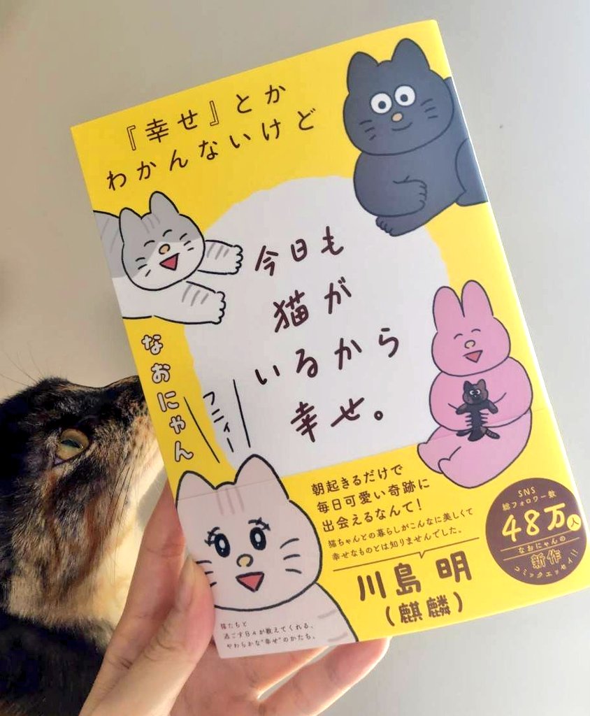 Post by なおにゃん🌼 on X: 本日発売！🐱