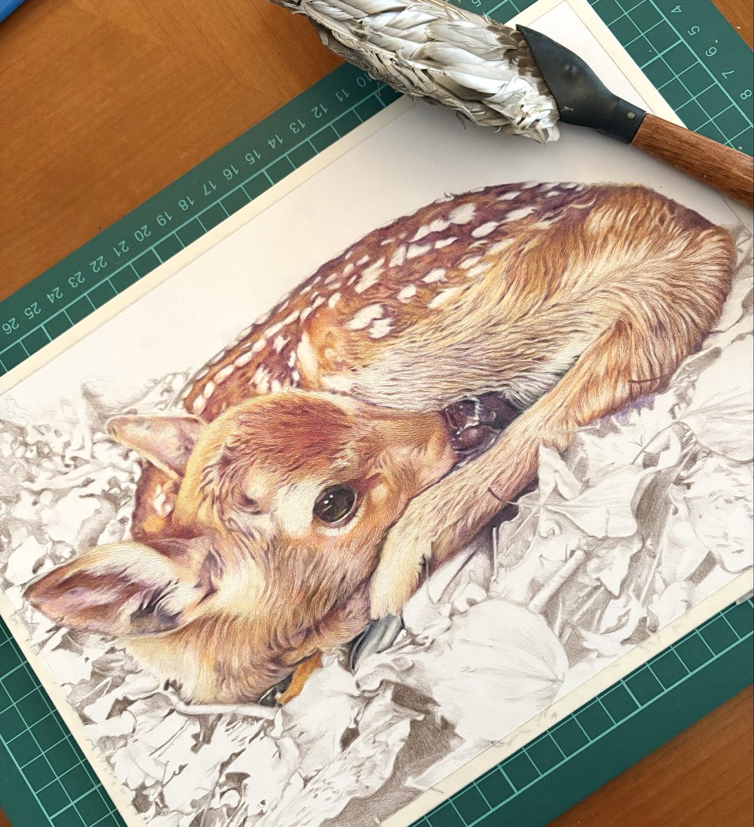 mieru731です♪ 色鉛筆画 色鉛筆画 - Search / X