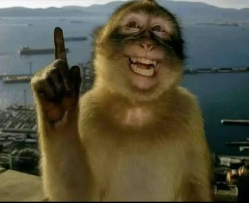 So true! they should be bigger