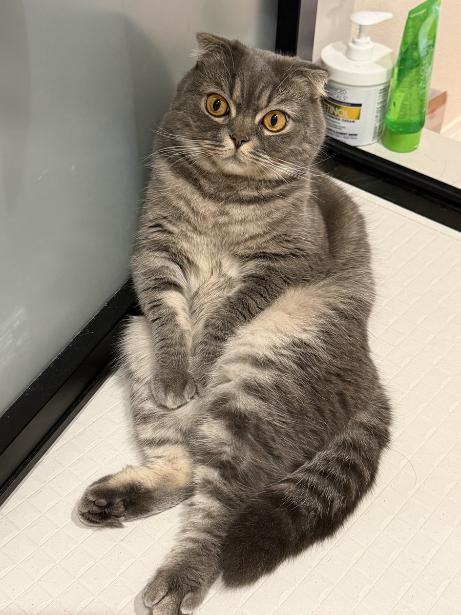 Yuu’s adventures tweet media