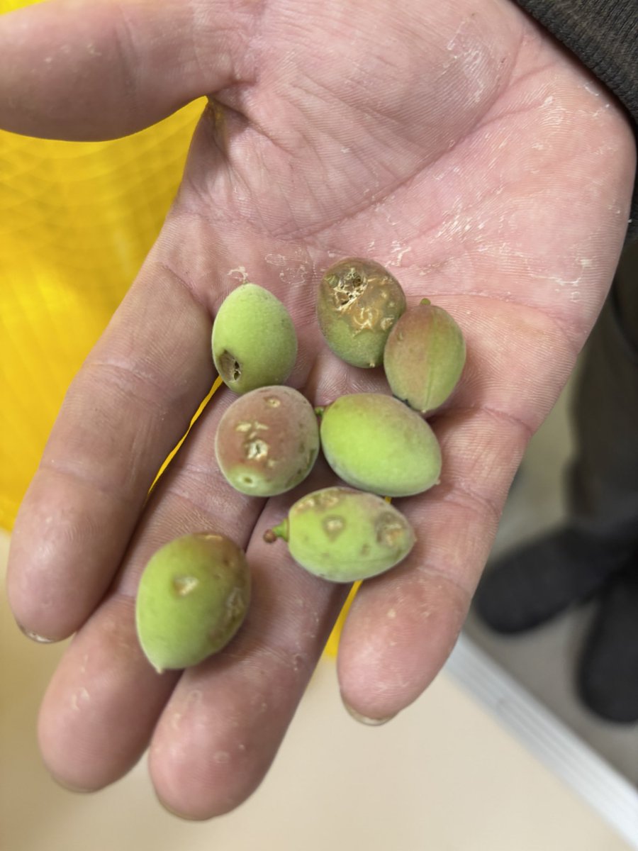 あうん (@MOOZ9PauFkSBgOo) / Posts / X