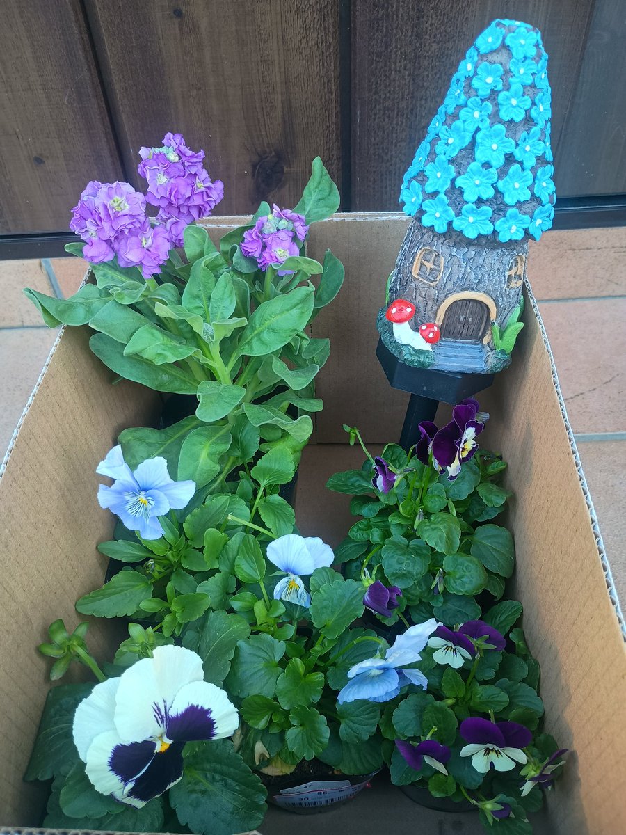 ❀タラコ様❀ さんかこ┗(^o^ )┓風くんだよー💍 on X