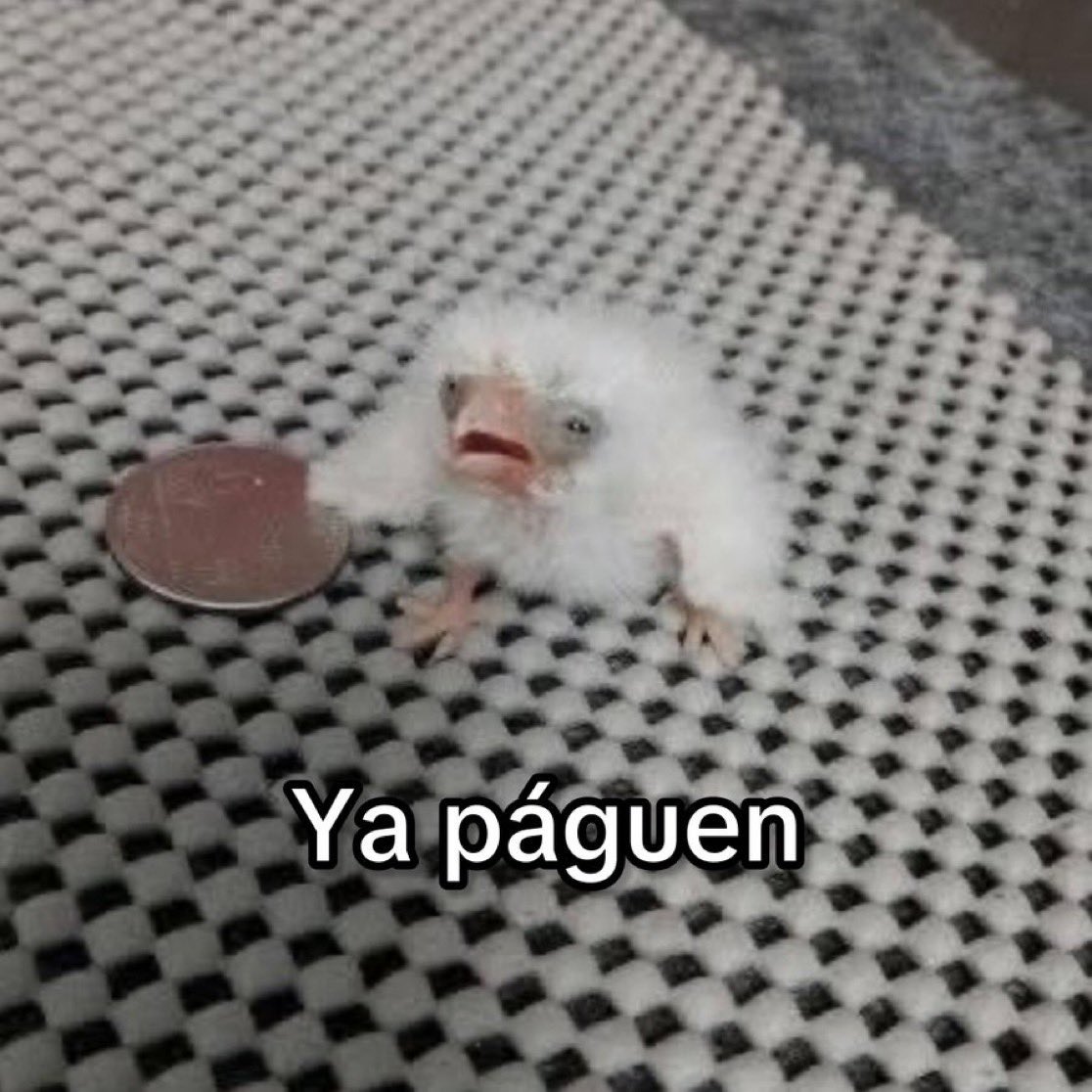 El wey que le apostó toda la quincena a los Dodgers: