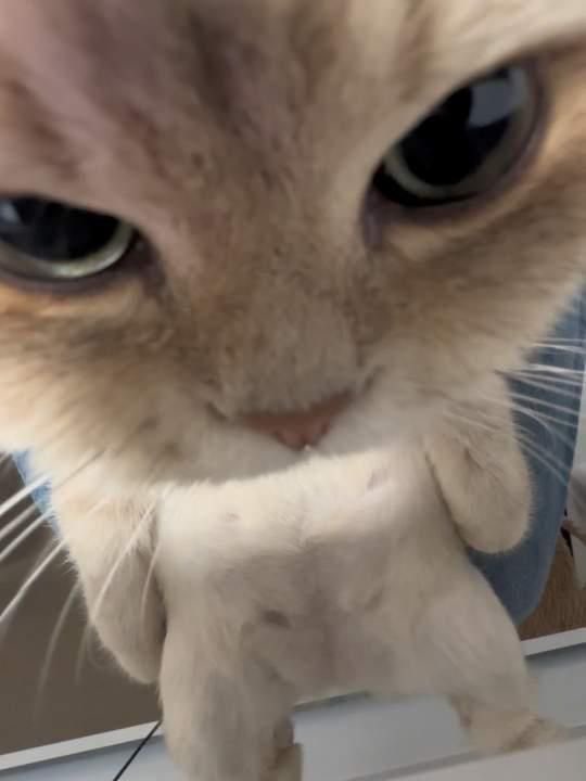 Can i come to ur house and look at u like this?