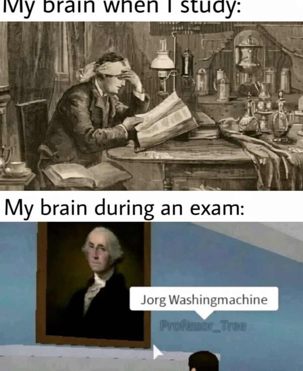 RespectfulMemes's tweet image. 