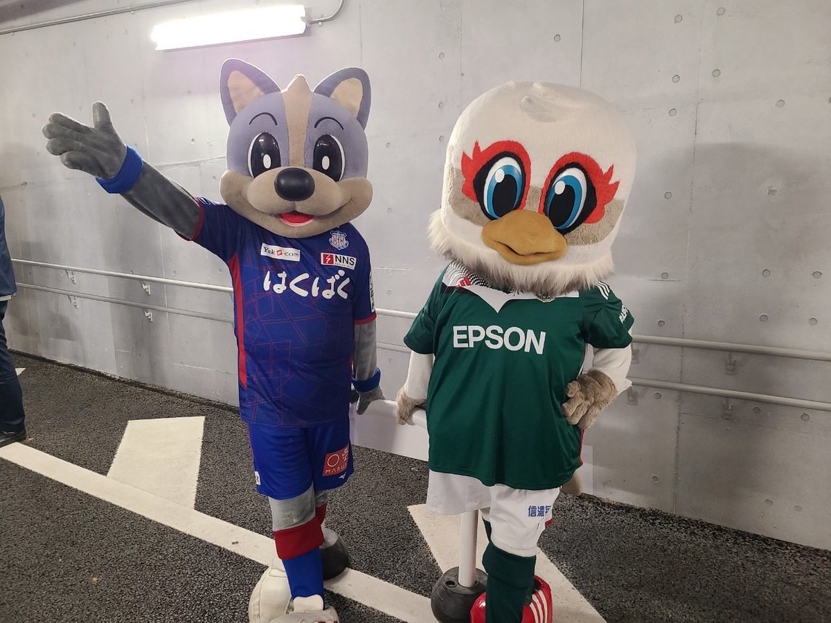 ヴァンく〜ん！
久しぶりに会えるのが、今からとっても楽しみだよ！
11/5はよろしくね〜！

みんなもぜひJITリサイクルインクスタジアムに、ぼくとヴァンくんに会いに来てほしいな〜ウフフフフ♪

<a href="/vfk_vent_kun/">ヴァンくん【公式】🔥</a> 

#ヴァンくん
#ガンズくん
#ありがとう