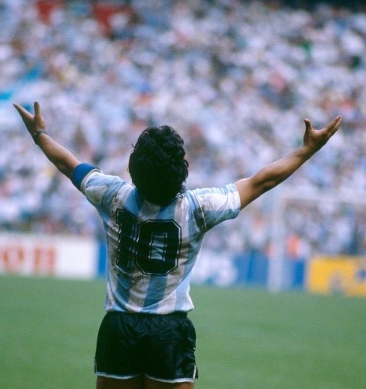 Feli fernandez tweet media