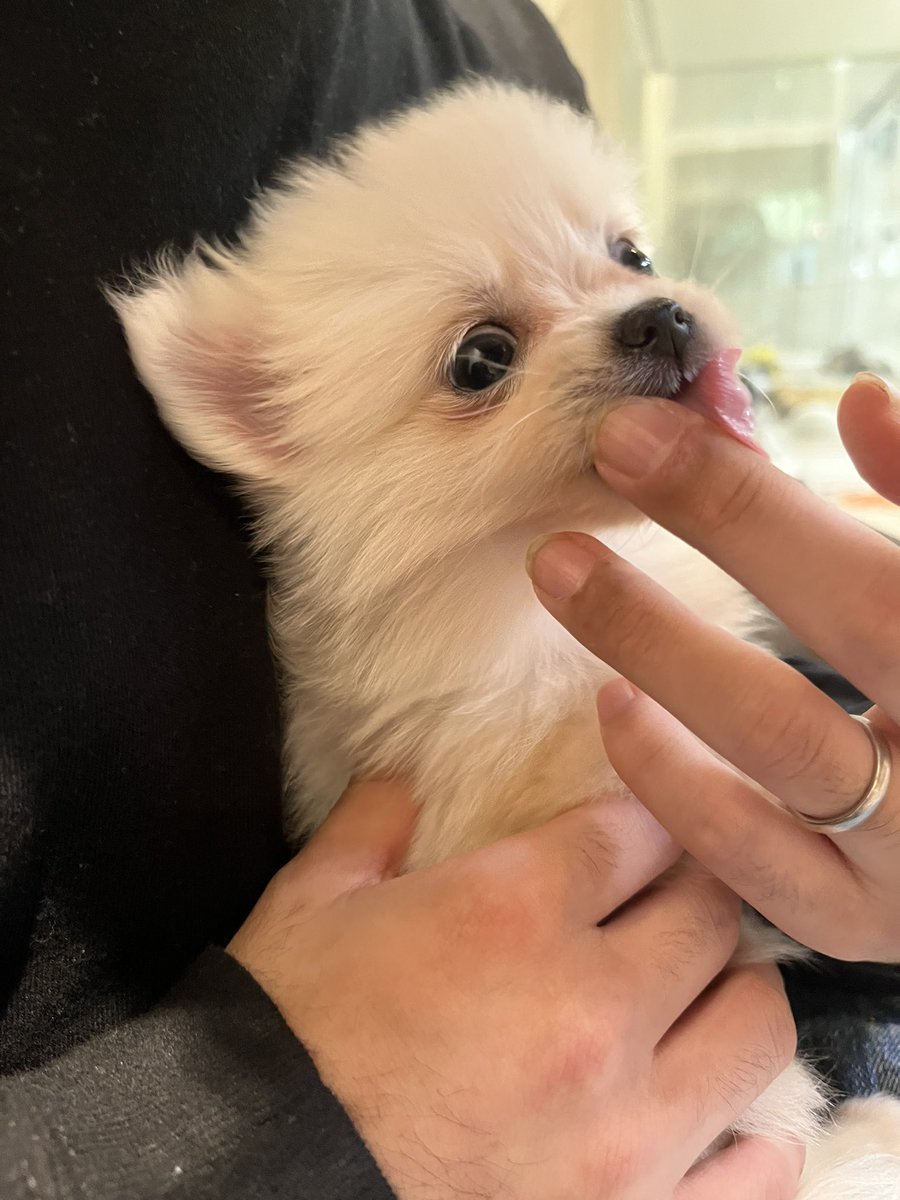 まりっぺ🩵FTW卒花 on X