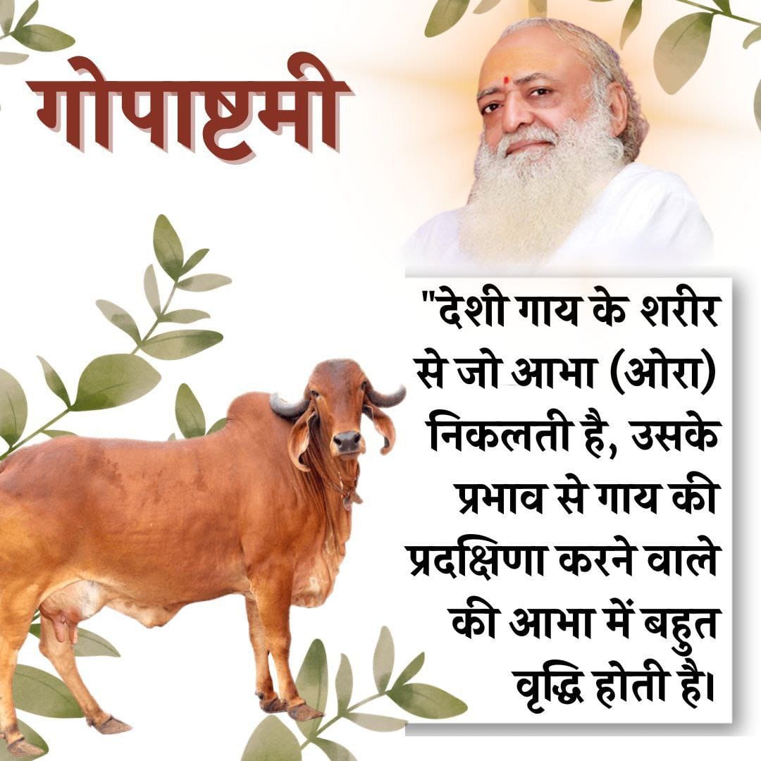toresh2k10's tweet image. #Gopashtami 
पर
Gau Dhan
Gau Mata को अच्छी प्रकार से सजाकर उन्हें तिलक करें पूजाकर आरती उतारें उन्हें गौग्रास प्रदान करें जब वे चरण जाएं कुछ दूर तक उनके साथ जाएं
  - Saint Shri Asharamji Bapu