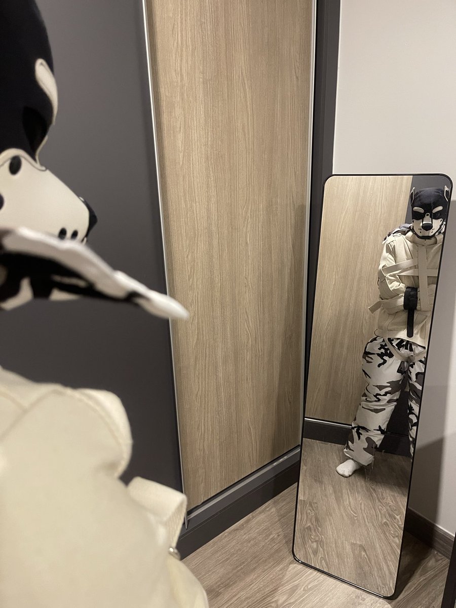 狗零食 tweet media