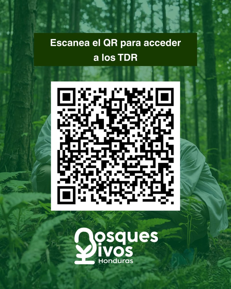 📢 ¡Atención profesionales!
Se abre la convocatoria para la consultoría del proyecto Bosques Vivos:
 “Plan de Uso Público del Refugio de Vida Silvestre La Muralla” 🌿
🗓️ Fecha límite: 4/11/2025
🔗 Escanee el QR o copie el enlace:
drive.google.com/file/d/1lW2sP8…