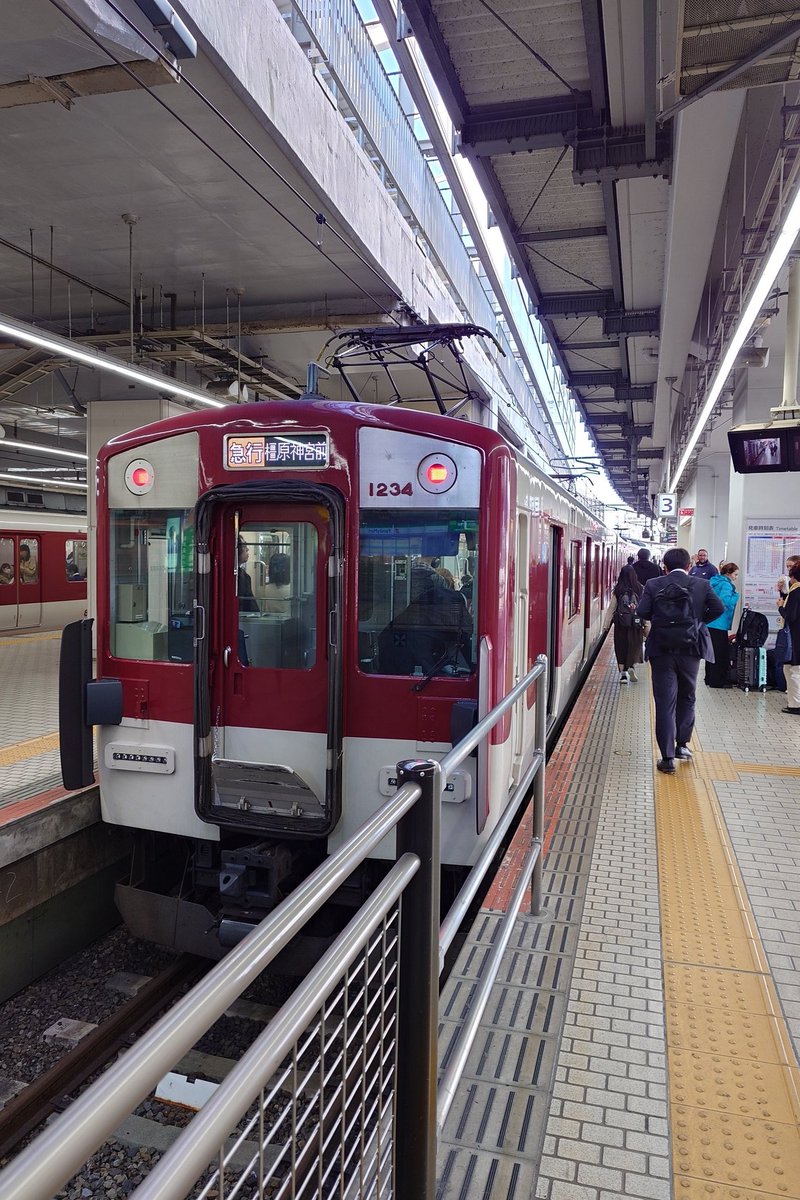 希少❗️ボリューム大❗️ディフェンバキア　サブライム✨ Amazon | 10インチのホイールの輪辋に適用 前後2個一対 ドラム