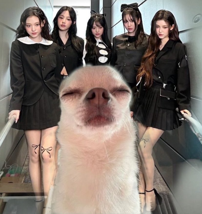 kangnyangzzo's tweet photo. https://t.co/PvbhglMoOh