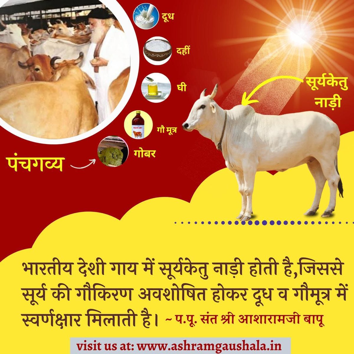 #Gopashtami
जैसे माँ अपने बच्चे को हर स्थिति में सुख देती हैं कोमल हृदय के कारण, ठीक वैसे ही हैं हमारी प्यारी
Gau Dhan
Gau Mata भी, जो मानवजाति को सदैव लाभ देती हैं तो आज गोपाष्टमी पर गौसेवा व पूजन का लाभ अवश्य लें
 - Sant Shri Asharamji Bapu