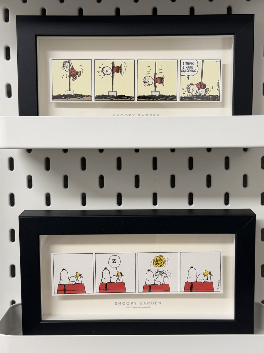 신성호 

이준성