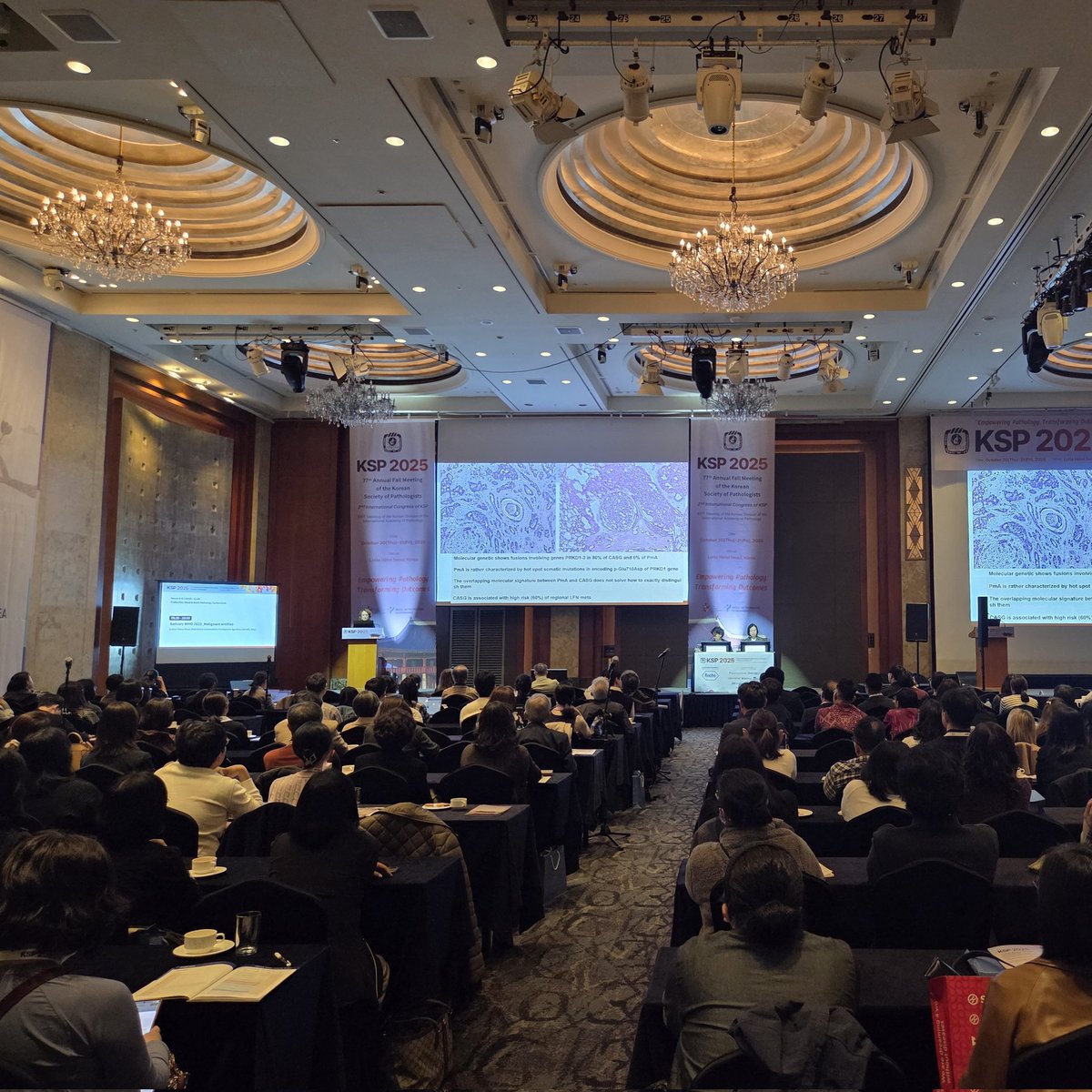 Korean Society of Pathologists tweet media