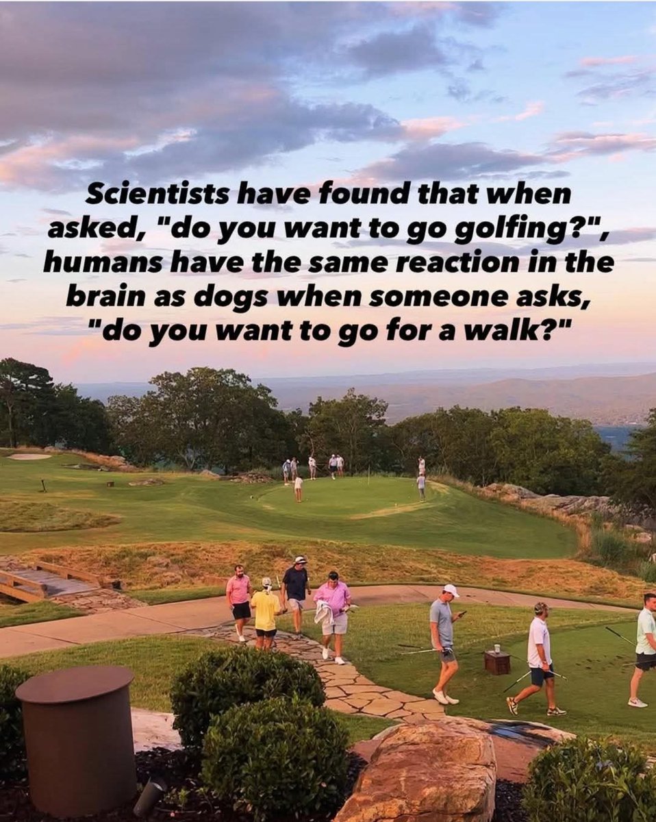 Affable_menace's tweet photo. #Golf #GolfLife #golftips https://t.co/EaanVL1qpJ