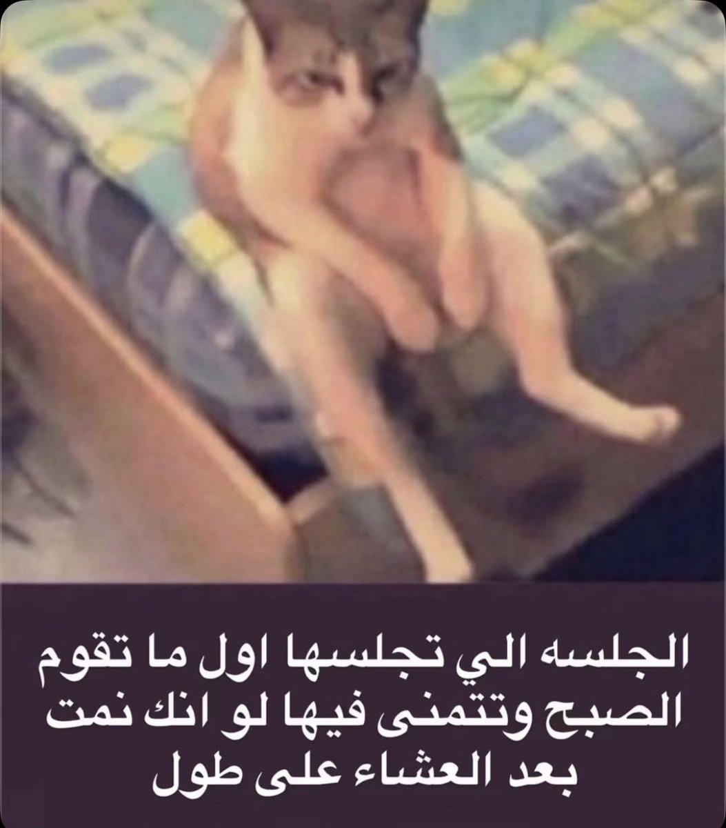 صباح الخير
