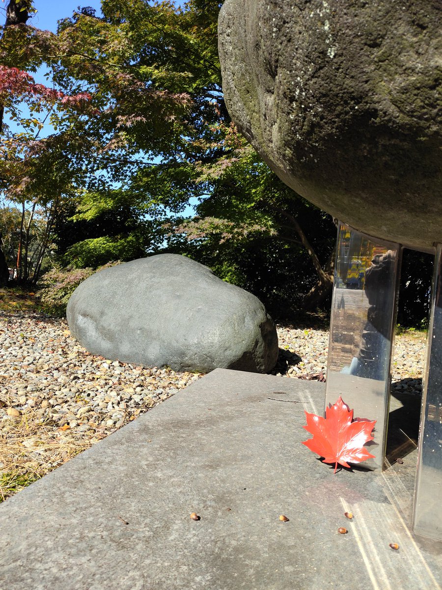 syugakutakeuchi's tweet photo. 石川県加賀市片山津温泉愛染寺 今月も勝手に楓さんのご縁日 今や日本では貴重な黒鉛（グラファイト）を含む石と団栗の実と少し紅くなってきたモミジとイタリアンレッドの楓 山下晴子作開湯の祖をたたえる石のオブジェ oasis渡辺薫作楓 

#加賀楓
#加賀温泉郷 https://t.co/bxRIWqj4Zg