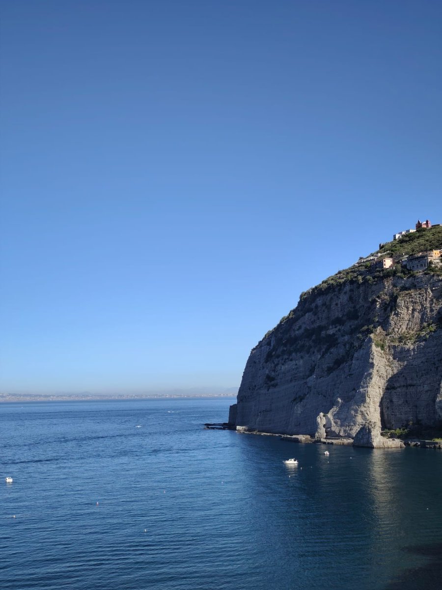 Blue Demon 1810 tweet media