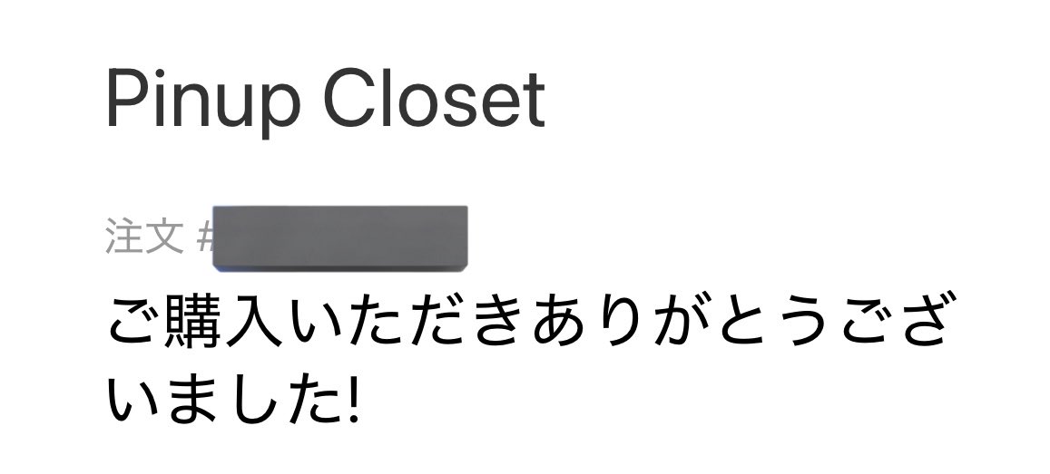 管13 ダニエル・リカルド レアカーナンバー入り 直筆サイン入り 純正スパーク 1/43 ケース