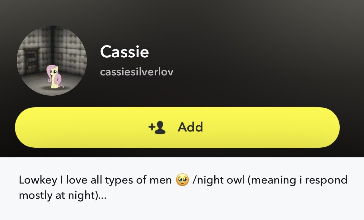 tinydumbdoll's tweet photo. HEY!! PLEASE BE AWARE OF THIS ACCOUNT ON SNAPCHAT!!!! for starters, I DO NOT SELL OR POST ON SNAPCHAT AND NEVER HAVE!!!! this is someone posing as me ALSO CLAIMING THEYRE 17??!!?!? please please please be aware and please report it!!!! they are taking things from both my twt accs https://t.co/Ts2QKryPx5