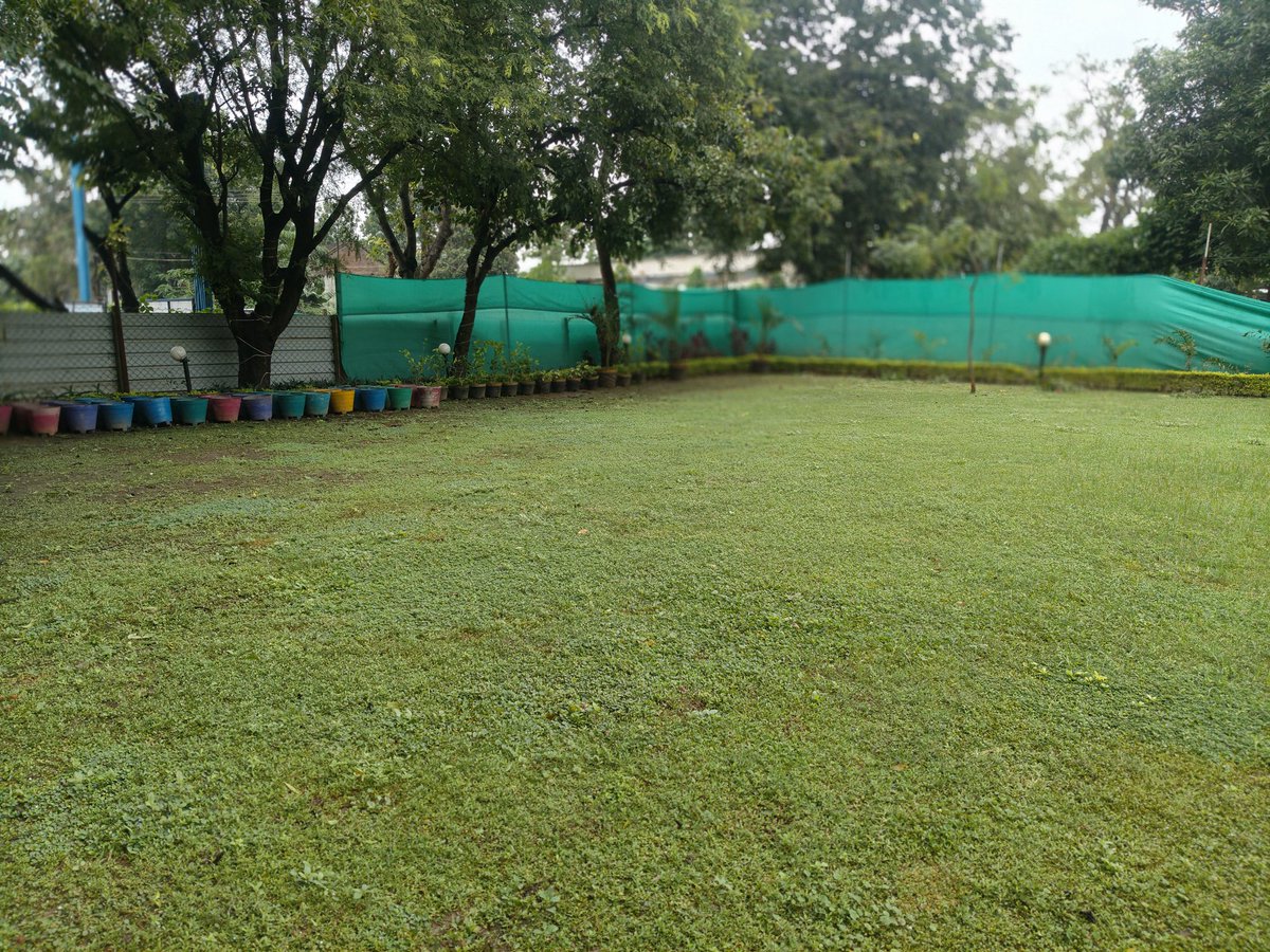 COMDT81BNCRPF's tweet photo. 81 BN CRPF Cleaning drive under #SpecialCampaign5_0 https://t.co/hseyFAqg6G