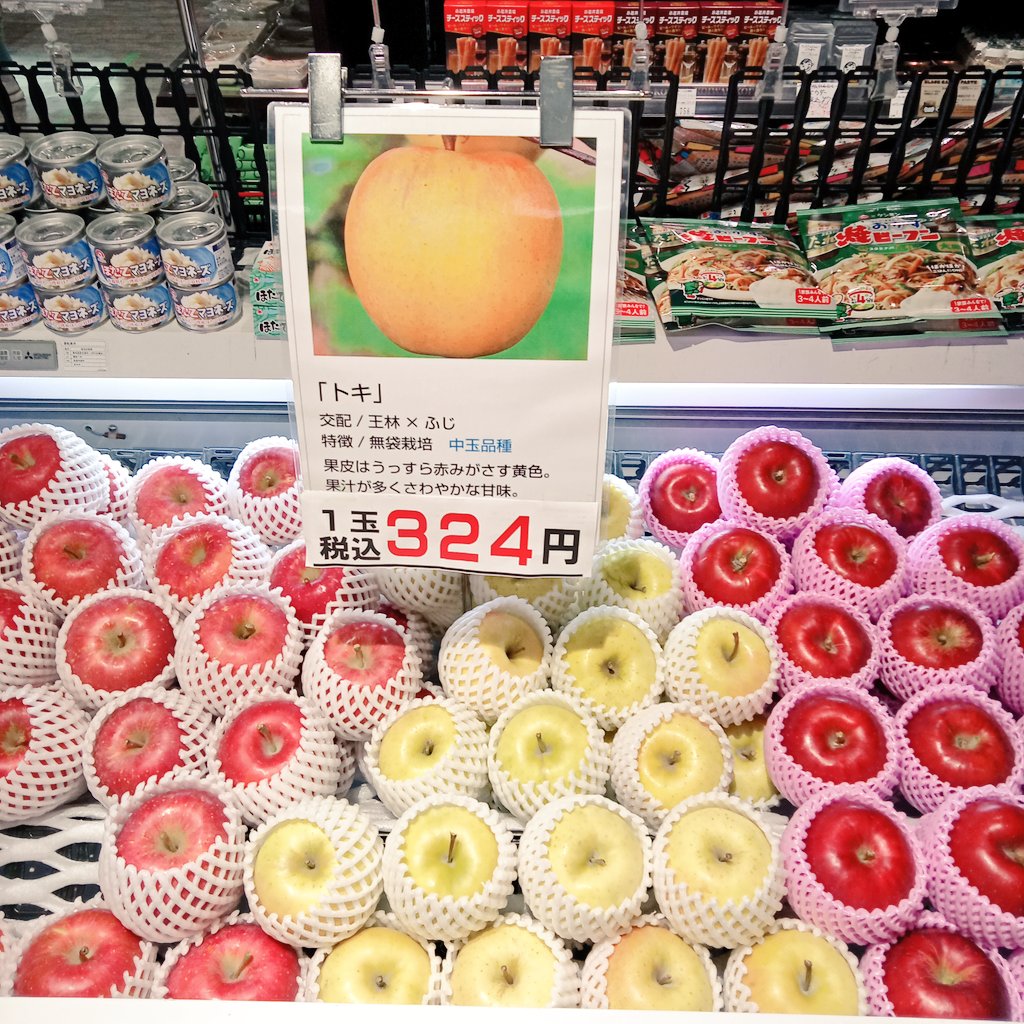 りんご出品 商品入荷のお知らせ/青森】 <青森りんごの会キョーエイ> 🍎早生ふじ