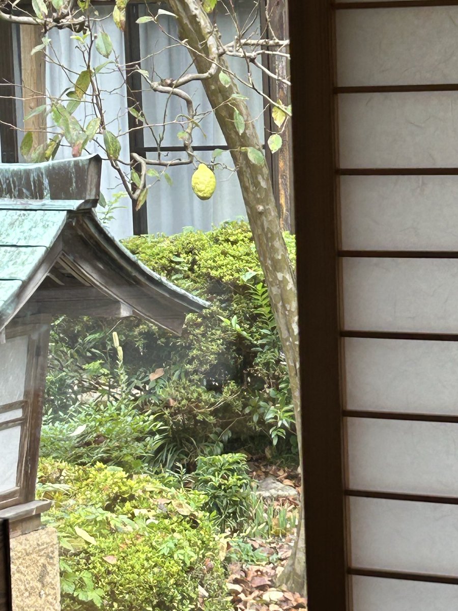 ぺけページ 4AGE Block: Part 1, Overview and Stuff – Banneker Motoring