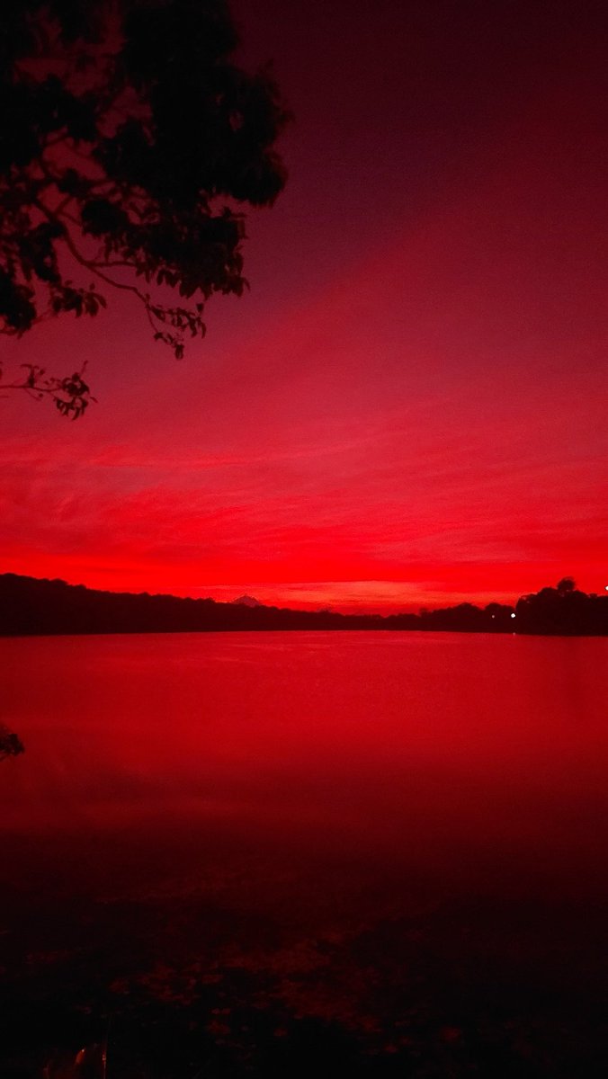 Baltonara's tweet image. Aku mau kasih liat sesuatu yang aku kejar dari subuh 😁😁