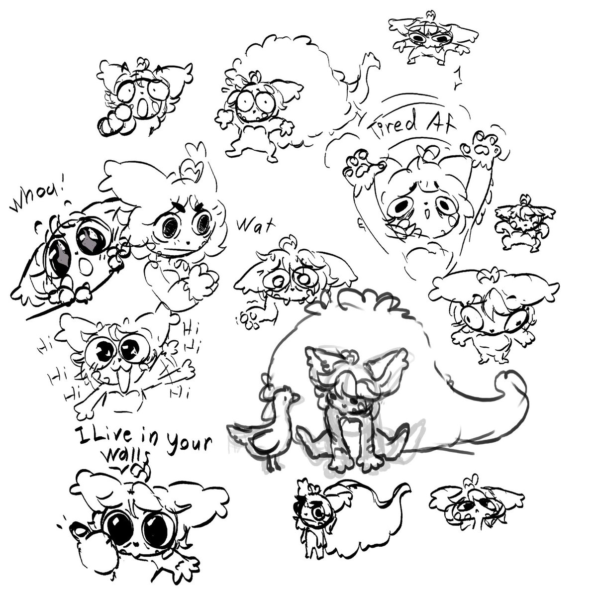 FlurryThePuff's tweet photo. https://t.co/AlY3PftTbL