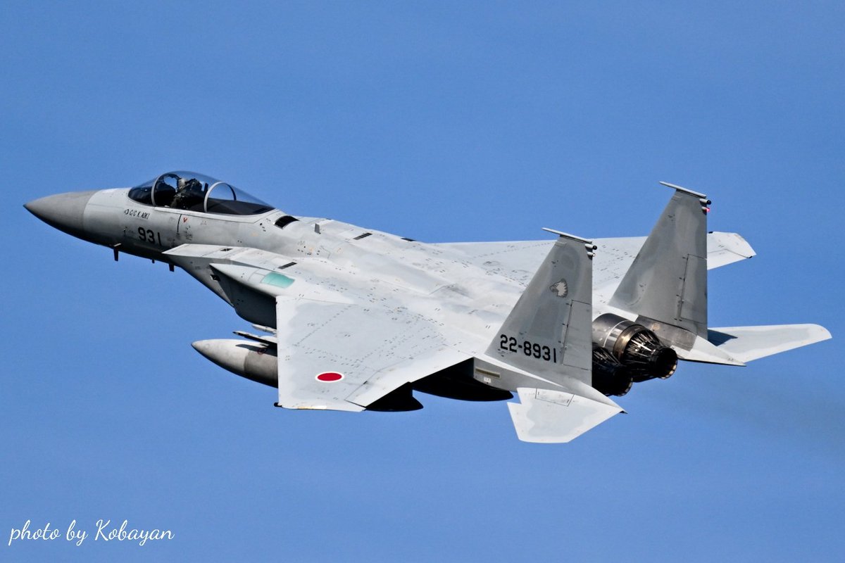 JAL ウィングバッチ付CAP NAPA訓練所 こばやん on X