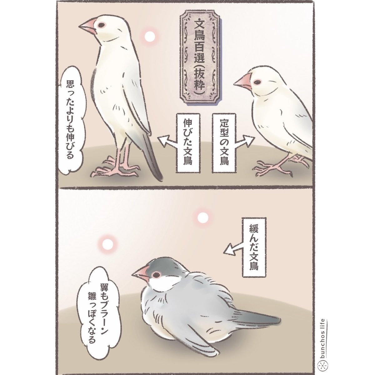 Sonege (@Sonege0123) / Posts / X