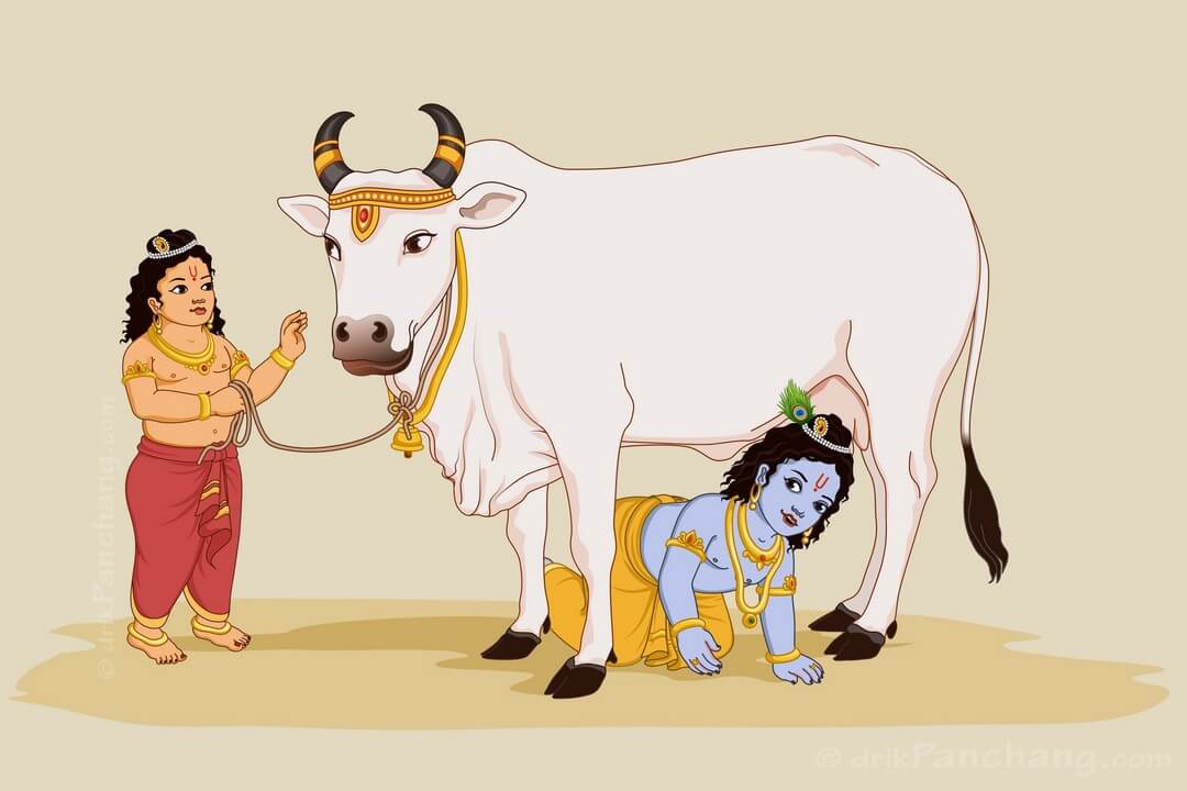 MrDeepakSoni's tweet photo. गोपाष्टमी की हार्दिक शुभकामनाएं! आपका जीवन सुख-शांति और समृद्धि से भर जाए। गौ माता का आशीष अमृत समान, जिसे मिले वो बने भगवान का दास महान।

#Gopashtami https://t.co/VtjlJ3sqPr