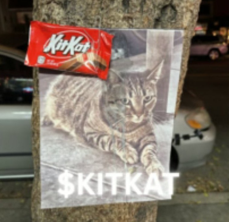 so one year after pnut we get kitkat?

elon hates waymo so could see him backing this as well

justice for $kitkat

EnbYiKqWdzKfuN12QZ33tYm9ysy4Bjhpf7XU2RY3pump