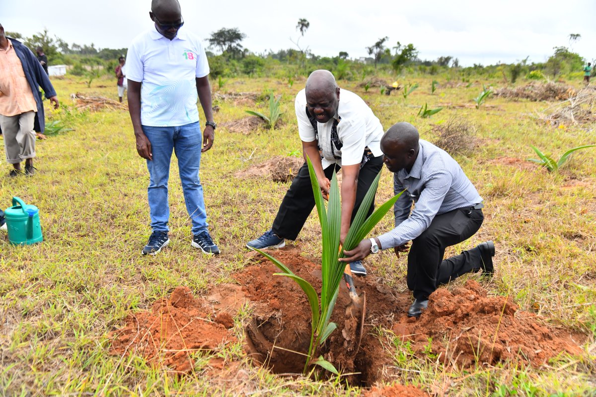 The Technical University of Mombasa (TUM) has reaffirmed its commitment to environmental conservation and climate action through a major tree planting .

Read more 👉🏼tum.ac.ke/news/tum-partn…

#TUM #technicaluniversityofmombasa #maritime #treeplanting #SAFARICOM #safaricom #trees