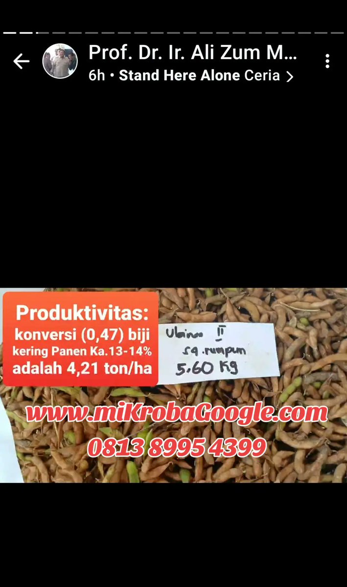 mikroba_google's tweet photo. Kedelai Migo Merah Putih 

Gladi resik persiapan kunjungan Bapak Presiden RI Prabowo Subianto 

#kedelai #merahputih #ketahananpangan #tniindonesia #pertanian #farm #farming #farmer #farmlife #PerangMelawanNarkoba #JUNGWOO #president #presiden #presidenprabowo #petaniindonesia https://t.co/vhF03KhQfW