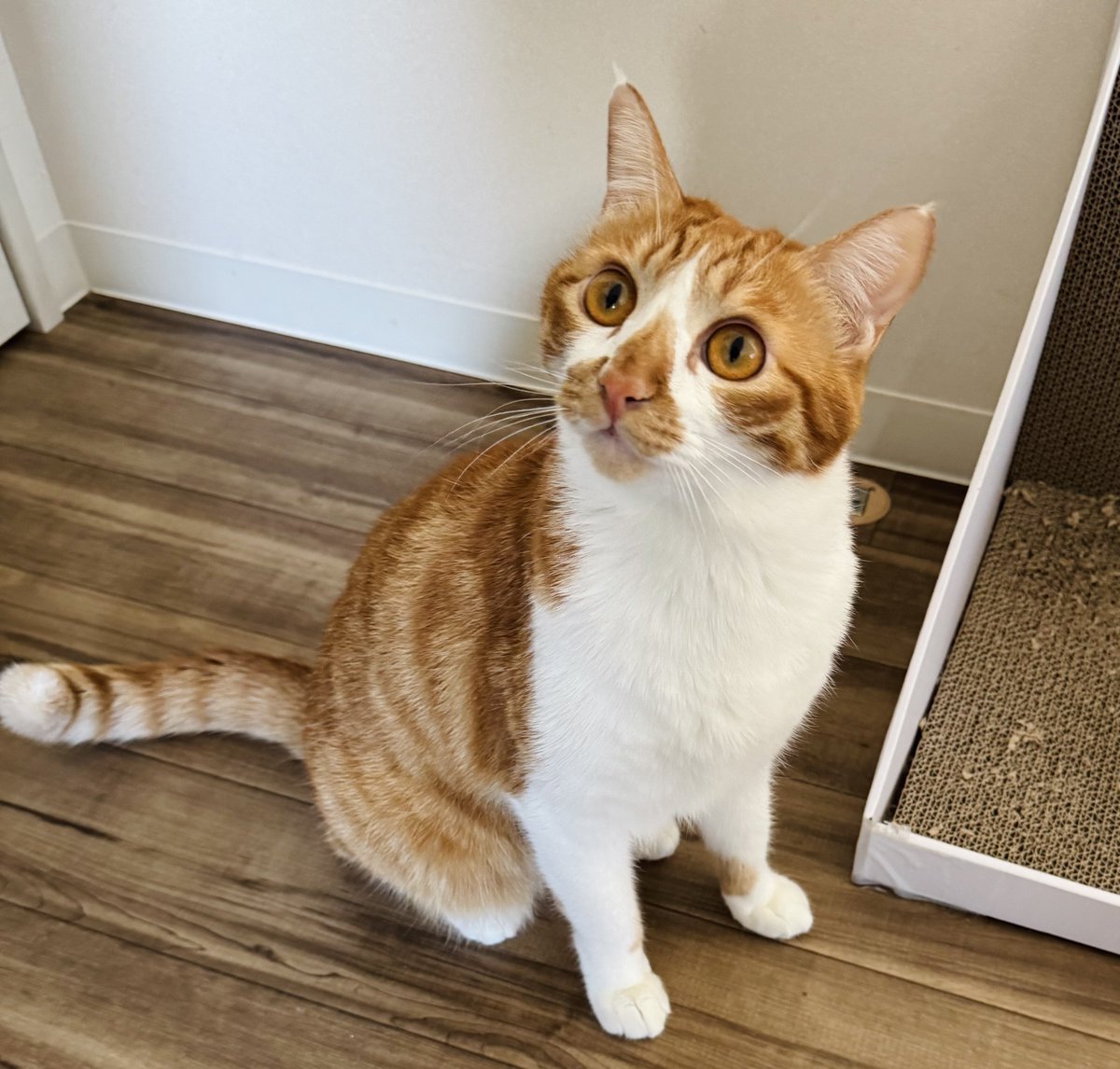 まりもちゃん！と🧌 (@marimo2021915) / Posts / X